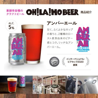 ふるさと納税 東御市 【4回定期便】オラホビール ゴールデンエール\u0026アンバーエール10本の画像