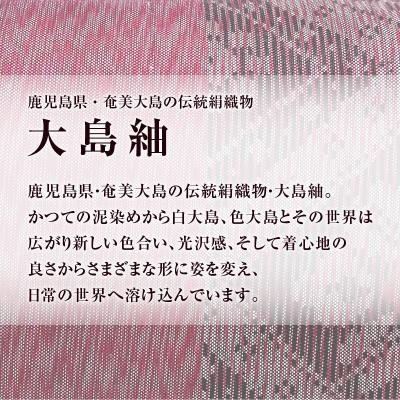 ふるさと納税 鹿児島市 CHANCE(シャンス)大島紬キャラメルポーチ【ワインレッド】　K054-003 |  | 02