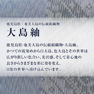 ふるさと納税 鹿児島市 CHANCE(シャンス)大島紬キャラメルポーチ【ブルー】　K054-004 |  | 02