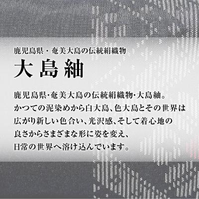 ふるさと納税 鹿児島市 CHANCE(シャンス)大島紬キャラメルポーチ【ブラック】　K054-005 |  | 02