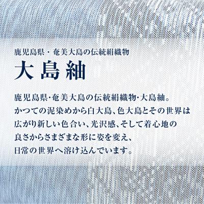 ふるさと納税 鹿児島市 CHANCE(シャンス)大島紬キャラメルポーチ【ライトブルー】　K054-006 |  | 02