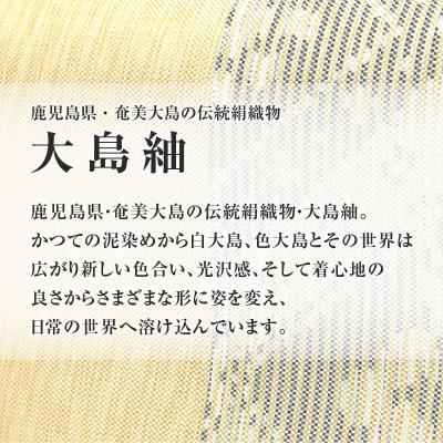 ふるさと納税 鹿児島市 CHANCE(シャンス)大島紬キャラメルポーチ【イエロー】　K054-008 |  | 02
