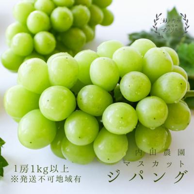 ふるさと納税 瀬戸内市 マスカット・ジパング 1房(1kg以上)内田農園 瀬戸内市産 ぶどう