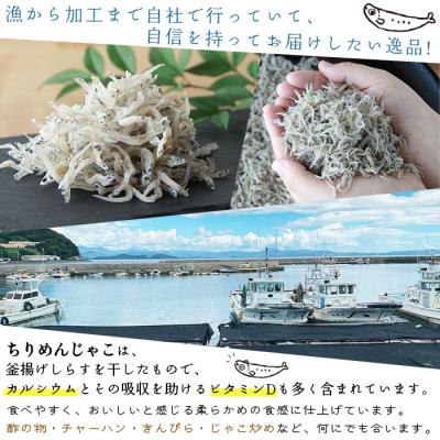 ふるさと納税 西予市 <漁師さん自慢のちりめんじゃこ　毎日の食卓においしいカルシウムを!!>　魚　西予市　明浜　おつまみ |  | 01