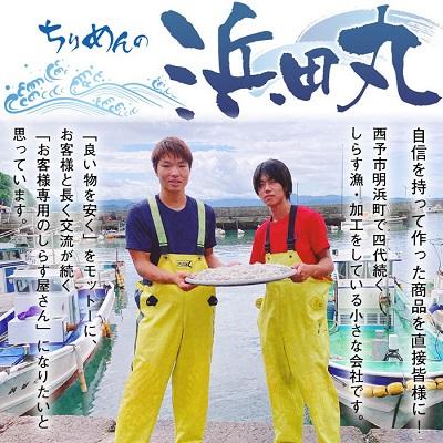 ふるさと納税 西予市 <漁師さん自慢のちりめんじゃこ　毎日の食卓においしいカルシウムを!!>　魚　西予市　明浜　おつまみ |  | 02