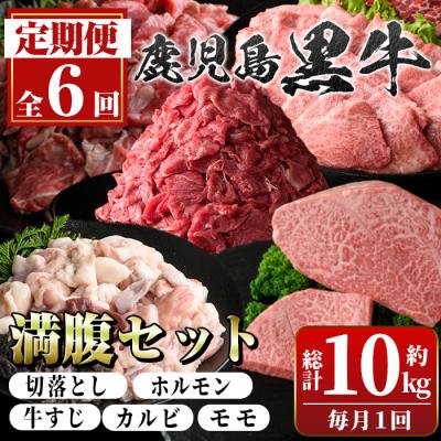 ふるさと納税 肝付町 <定期便・全6回>鹿児島黒牛 満足定期便・満腹セット(全5種・合計10kg)