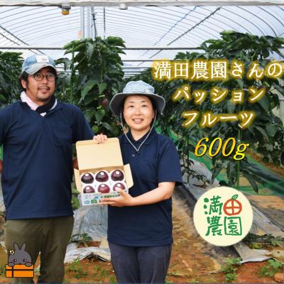 ふるさと納税 徳之島町 [先行予約]満田農園さんのパッションフルーツ(約600g)