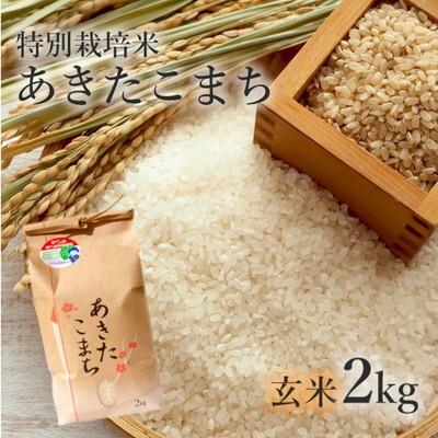 ふるさと納税 能代市 令和7年産 玄米 あきたこまち 2kg 特別栽培米