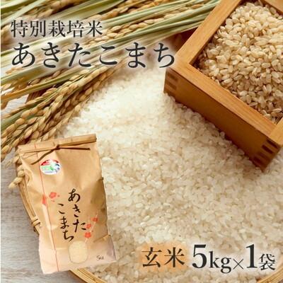 ふるさと納税 能代市 令和7年産 玄米 あきたこまち 5kg 特別栽培米