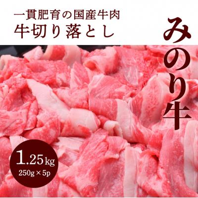 ふるさと納税 三原市 みのり牛切り落とし 1.25kg(250g×5パック)[052-009]