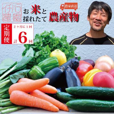 ふるさと納税 勝浦町 【定期便6回/2か月毎】市原農園 お米と農産物 | 