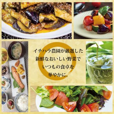 ふるさと納税 勝浦町 【定期便6回/2か月毎】市原農園 お米と農産物 |  | 01