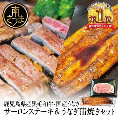 ふるさと納税 南さつま市 鹿児島県産黒毛和牛サーロインステーキ&amp;国産うなぎ蒲焼き スタミナセット(同梱発送)
