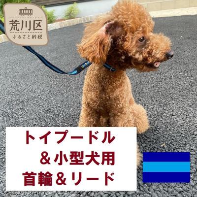 ふるさと納税 荒川区 トイプードル及び小型犬用カラー(首輪)&amp;リード(カラー:紺・水色・紺)[001-006]