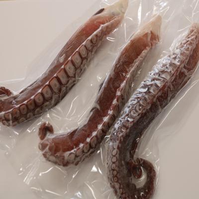 ふるさと納税 乙部町 採れたてのタコを漁師が浜ゆで!食感絶妙 お刺身で【漁師の浜ゆでたこ:約1kg】 |  | 01