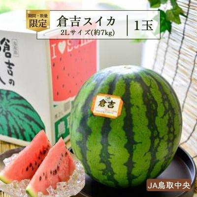ふるさと納税 倉吉市 倉吉スイカ1玉(JA鳥取中央) 2L すいか 期間限定 数量限定