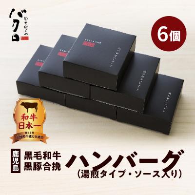 ふるさと納税 鹿児島市 鹿児島黒毛和牛×鹿児島黒豚合挽ハンバーグ(湯煎タイプ・ソース入り)6個