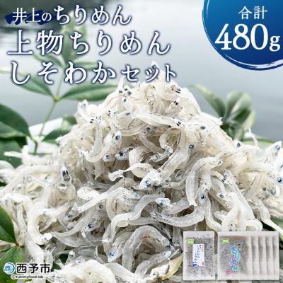 ふるさと納税 西予市 &lt;井上のちりめん上物ちりめんしそわかセット&gt; チリメン 海産 水産 魚介 西予 明浜