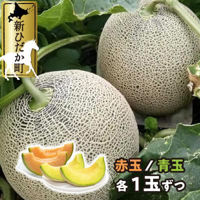 ふるさと納税 新ひだか町 <2026年7月中旬より発送> 北海道産メロン 赤肉青肉各1玉 食べ比べセット<先行受付>