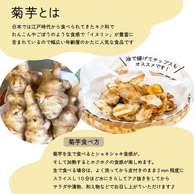 ふるさと納税 明和町 菊芋堀り 体験 (10kgまでお持ち帰りいただけます) E0867 |  | 02
