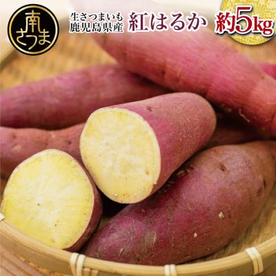 ふるさと納税 南さつま市 ★12月発送開始★ 鹿児島県産生さつまいも 「紅はるか」約5kg JA 南さつま