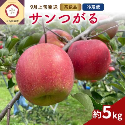ふるさと納税 五所川原市 [2026年9月上旬発送] りんご(サンつがる)約5kg 高級品 春秋園 青森 贈答用