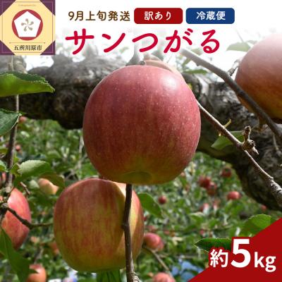 ふるさと納税 五所川原市 [2026年9月上旬発送] りんご(サンつがる)5kg 訳あり 春秋園 青森 家庭用