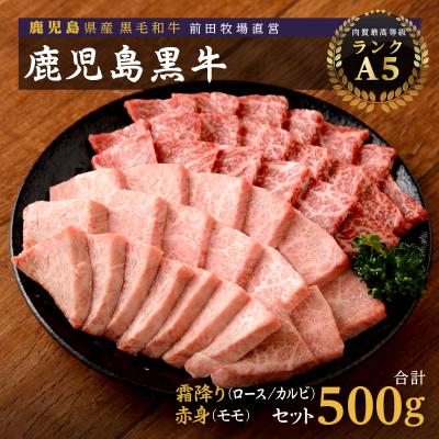 ふるさと納税 大崎町 鹿児島県産黒毛和牛 霜降(ロース・カルビ)赤身(モモ)焼き肉用 500g