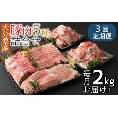 ふるさと納税 臼杵市 [3ヶ月定期便]2026年1月開始 小分けで便利♪大分県産 豚5種詰め合わせ(約2kg×3回)