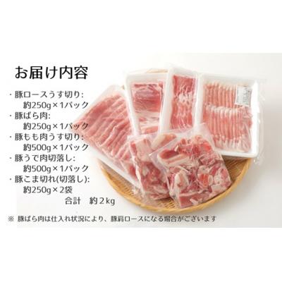 ふるさと納税 臼杵市 【12ヶ月定期便:2026年10月開始】小分けで便利♪大分県産 豚5種詰め合わせ(約2kg×12回) |  | 03