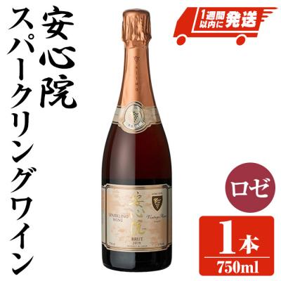 ふるさと納税 宇佐市 安心院スパークリングワインロゼ1本 [107301000][時枝酒店]