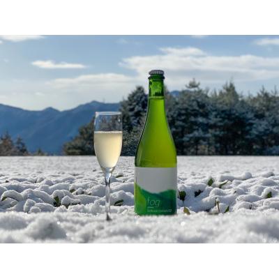 ふるさと納税 白川町 [ORIGINAL KOMBUCHA]fog-sencha(煎茶コンブチャ)