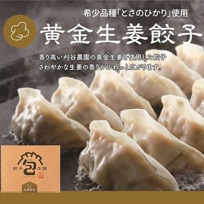 ふるさと納税 三原市 餃子本舗 包「黄金生姜餃子」[058-012]
