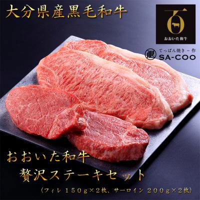 ふるさと納税 国東市 シェフ厳選! おおいた和牛贅沢ステーキセット(フィレ&amp;サーロイン)_2206R