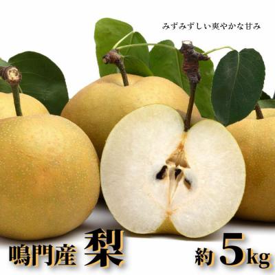 ふるさと納税 鳴門市 [先行受付中・2026年8月中旬頃より順次発送]旬の美味しさをお届け! 徳島県鳴門市産 「梨」