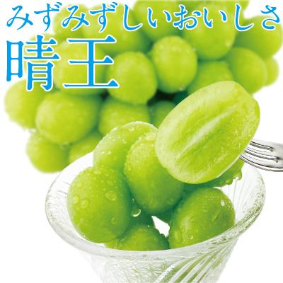 ふるさと納税 瀬戸内市 シャイン マスカット 晴王 2房 (合計約1kg) 岡山県産 [No.5735-1679]の画像