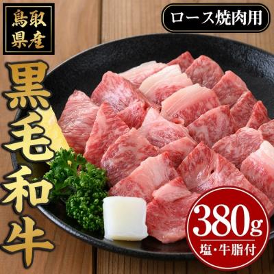 ふるさと納税 境港市 黒毛和牛ロース焼肉用(380g)