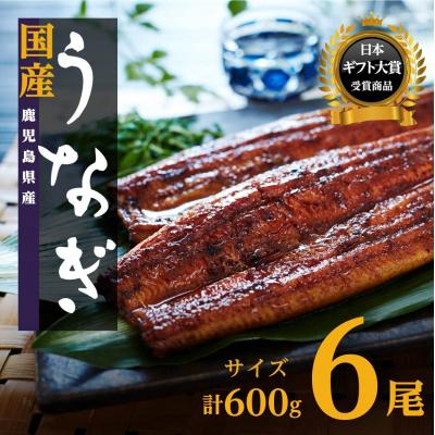 ふるさと納税 大崎町 【数量限定】鹿児島県産うなぎ長蒲焼6尾　 (合計600g以上) | 