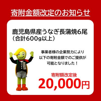 ふるさと納税 大崎町 【数量限定】鹿児島県産うなぎ長蒲焼6尾　 (合計600g以上) |  | 01