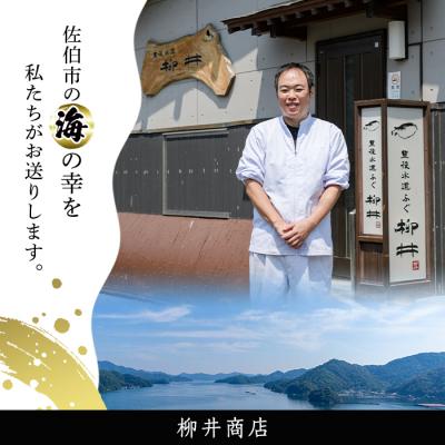 ふるさと納税 佐伯市 <定期便・全12回 (連続)>とらふぐ刺身 (総量約2kg・2-3人用×12回)の画像