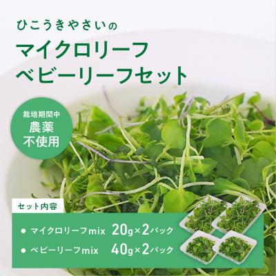 ふるさと納税 各務原市 マイクロリーフミックス[20g]&amp;ベビーリーフミックス[40g]健康野菜の食べ比べセット[932]