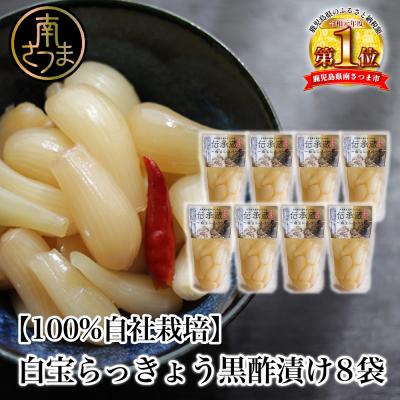 ふるさと納税 南さつま市 [鹿児島県産][プレミアム]伝承蔵〜白宝らっきょう黒酢漬け〜(90g×8P)