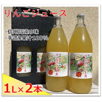 ふるさと納税 伊那市 信州高遠産 リンゴジュース2本セット
