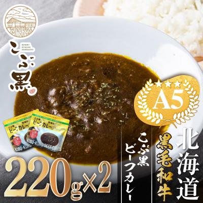 ふるさと納税 新ひだか町 北海道産 黒毛和牛 こぶ黒 A5 ビーフカレー220g×2パック[LC]