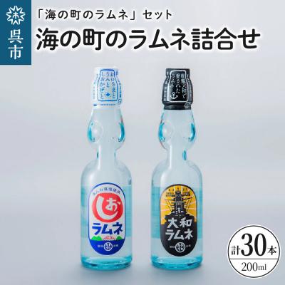 ふるさと納税 呉市 海の町のラムネ詰合せ ku090-004-r