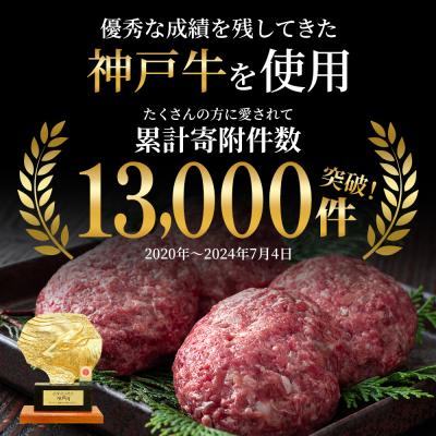 ふるさと納税 加西市 神戸牛 ハンバーグ 100g×10個  神戸ビーフ 国産 普段使い 肉 [No5698-1275] |  | 01
