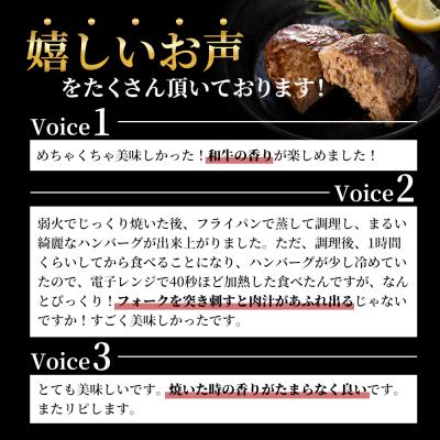 ふるさと納税 加西市 神戸牛 ハンバーグ 100g×10個  神戸ビーフ 国産 普段使い 肉 [No5698-1275] |  | 02