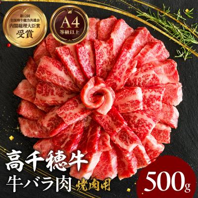 ふるさと納税 高千穂町 宮崎県産黒毛和牛A4等級以上 高千穂牛バラ肉 500g