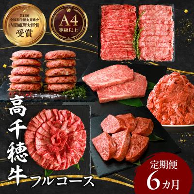 ふるさと納税 高千穂町 宮崎県産黒毛和牛A4等級以上 高千穂牛フルコース(6ヶ月定期便)