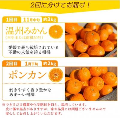 ふるさと納税 西予市 【先行受付】<旬をお届け!季節の柑橘 2回定期便(温州みかん・ポンカン>ミカン |  | 02